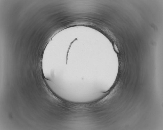 X0000111431369200908241113