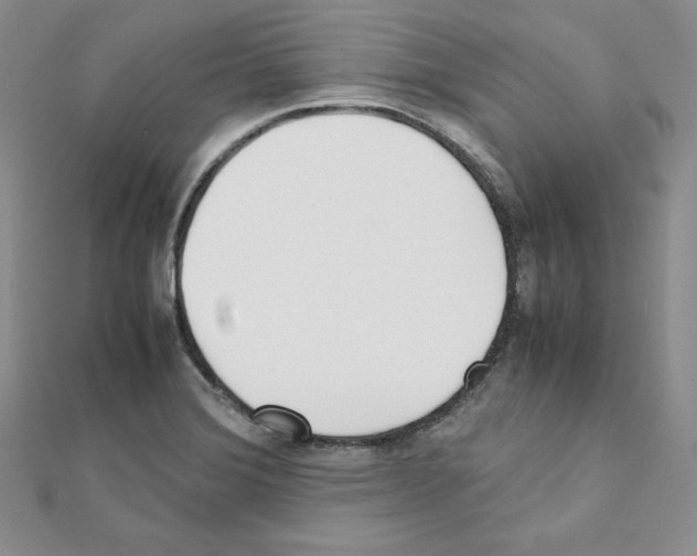 X0000111431372200908241112