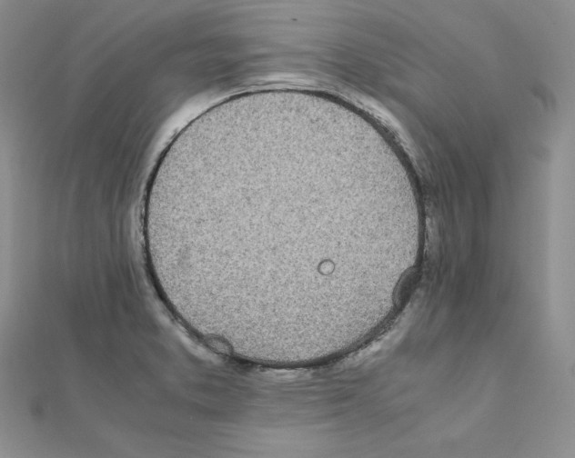 X0000111431373200908241112