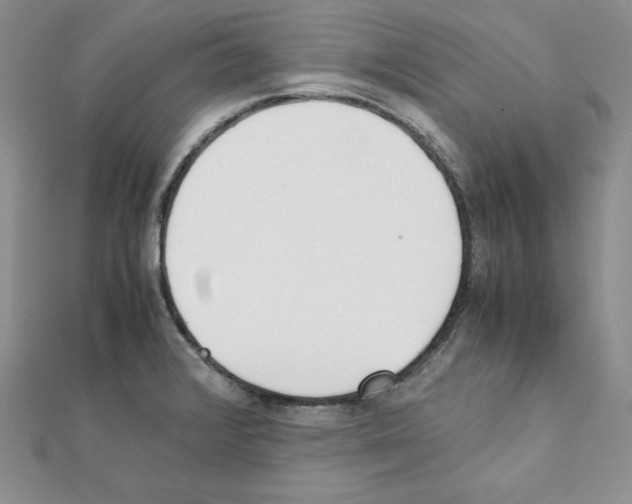 X0000111431376200908241112