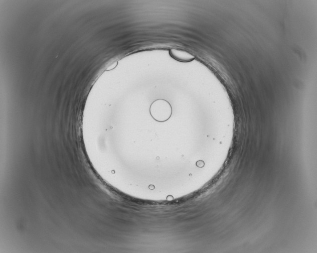 X0000111431377200908241112