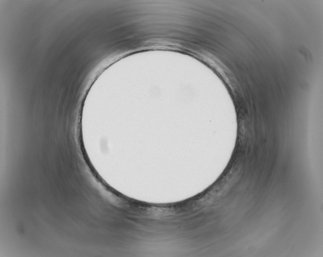 X0000111431379200908241112