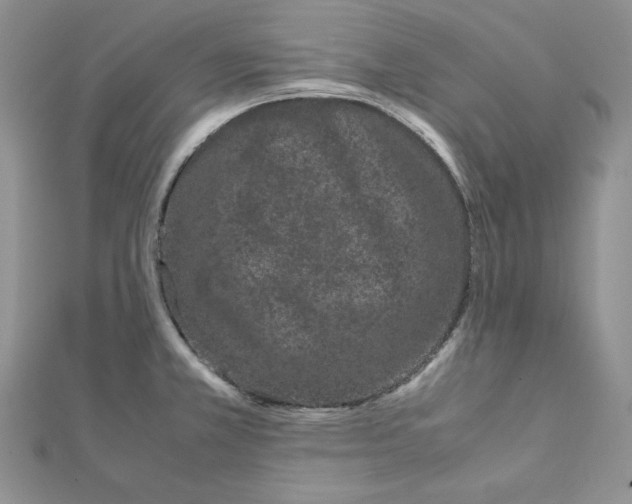 X0000111431381200908241112