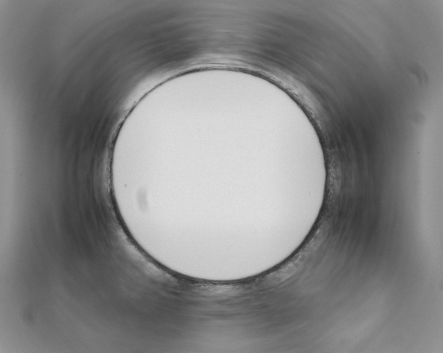 X0000111431382200908241112