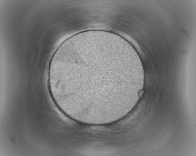 X0000111431383200908241112