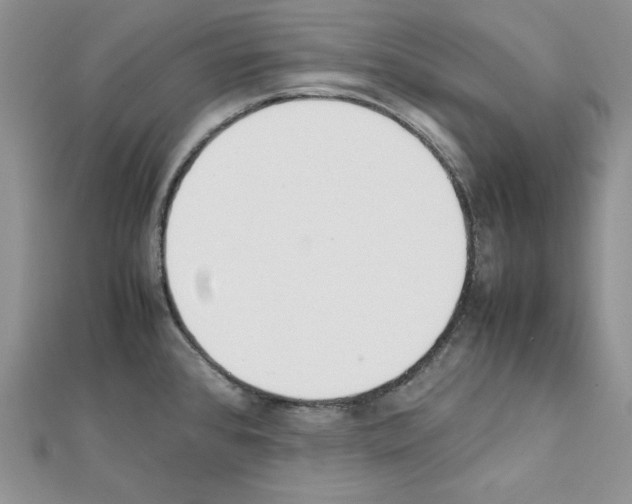 X0000111431384200908241112