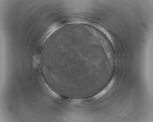 X0000111431385200908241112