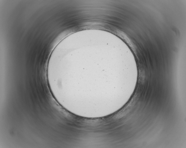X0000111431386200908241112