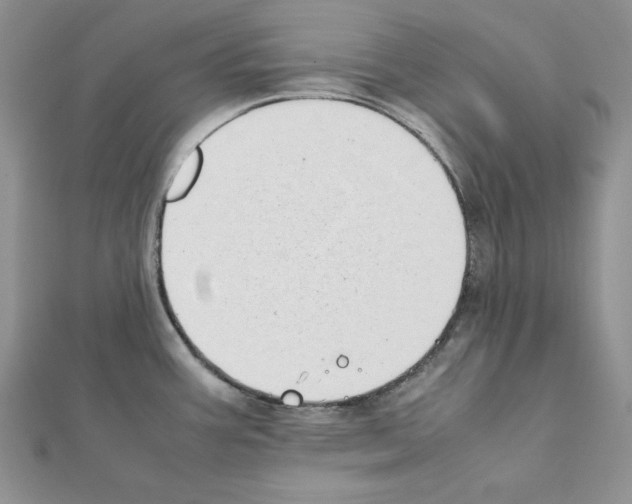 X0000111431387200908241112
