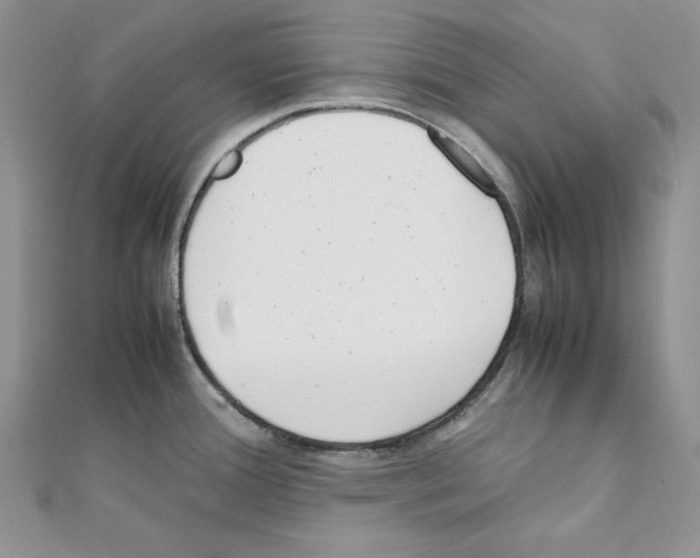 X0000111431388200908241112