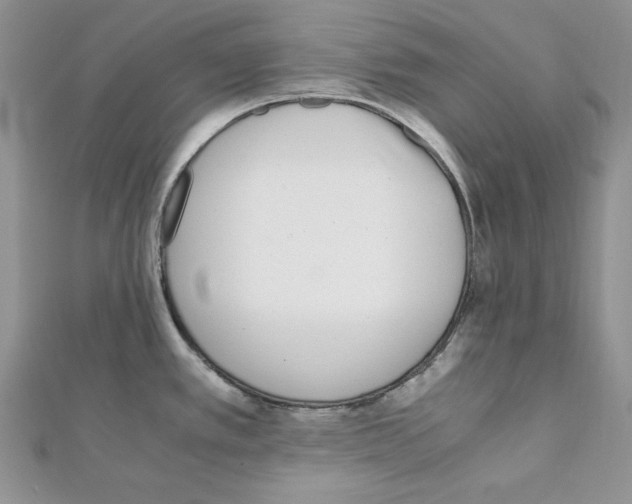 X0000111431389200908241112