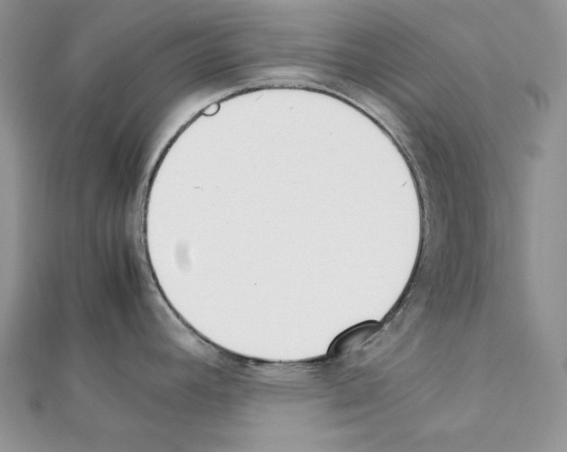 X0000111431392200908241112