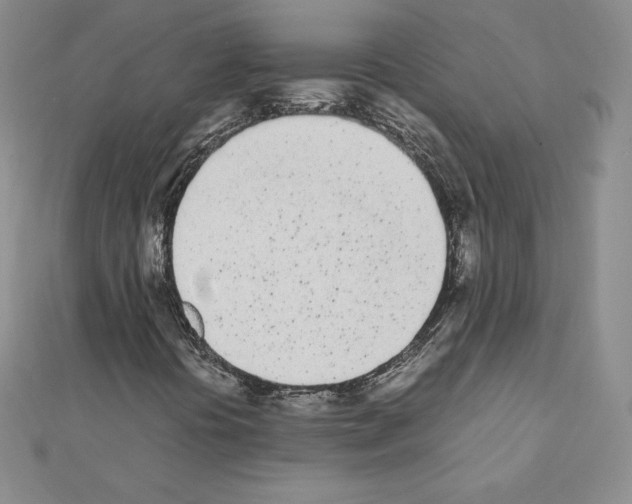 X0000111431394200908241111