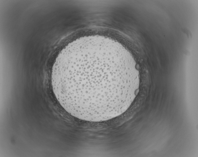 X0000111431397200908241112