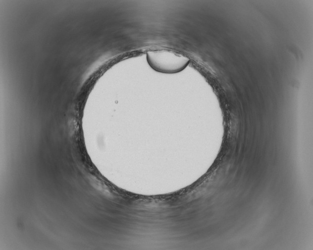 X0000111431400200908241112