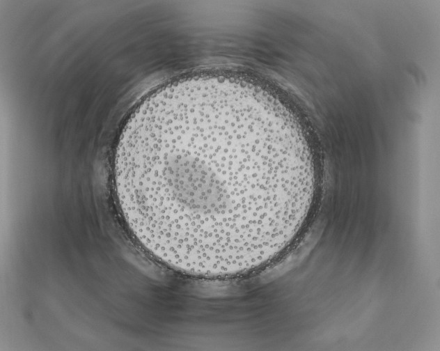 X0000111431401200908241112