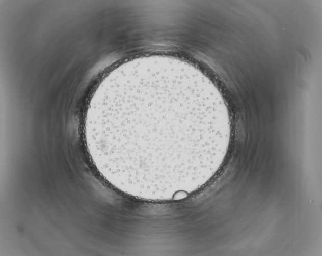 X0000111431402200908241112