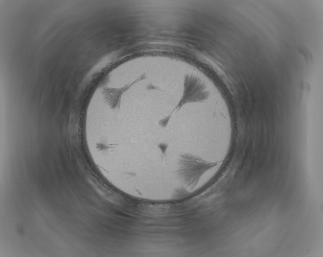 X0000111431403200908241112
