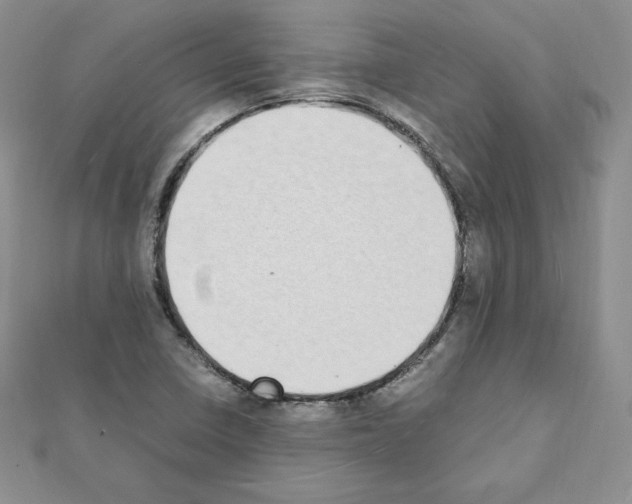 X0000111431410200908241112