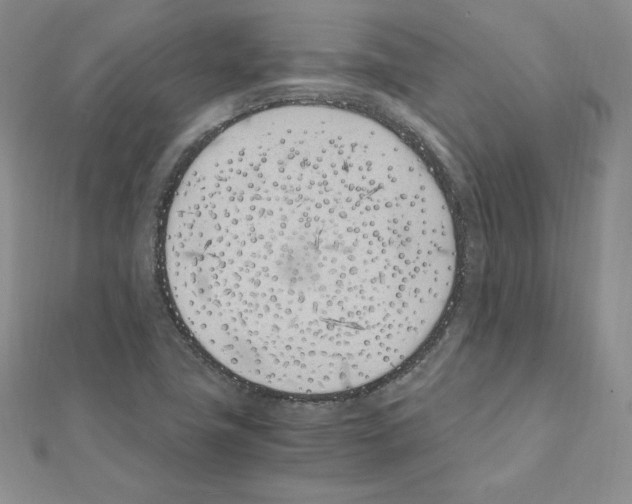X0000111431411200908241112