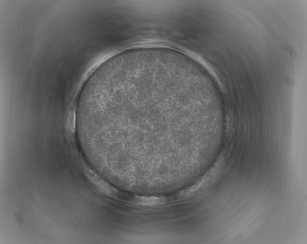 X0000111431413200908241112