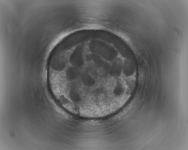 X0000111431414200908241112