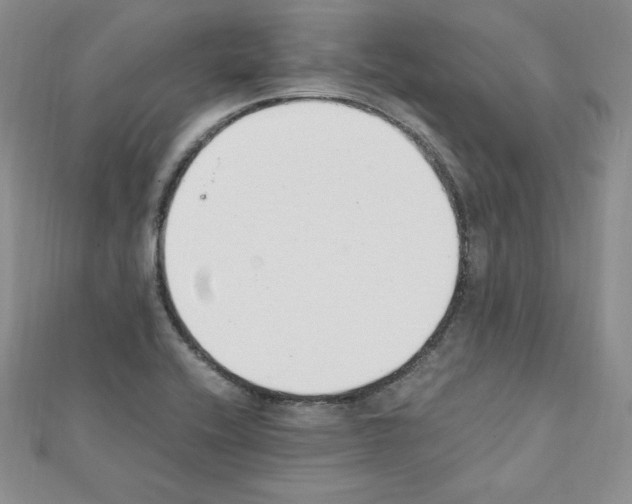 X0000111431416200908241112
