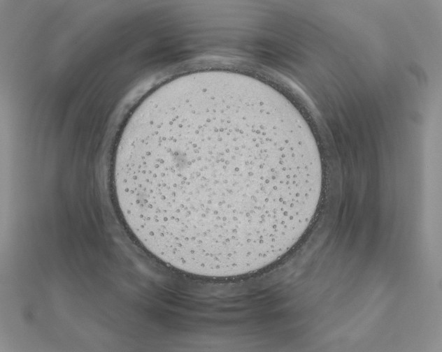 X0000111431419200908241112