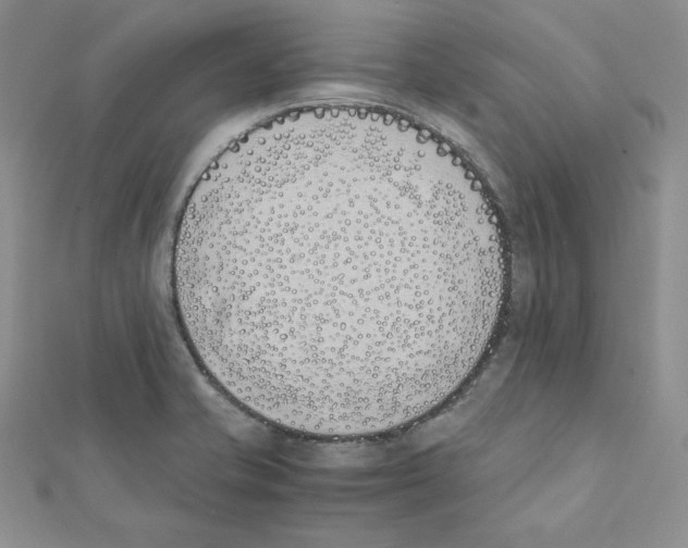 X0000111431421200908241112