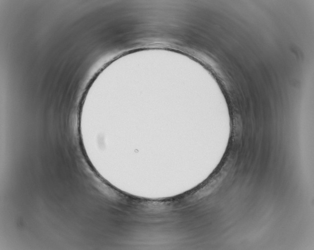 X0000111431424200908241112
