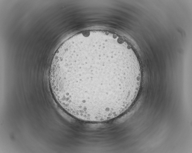X0000111431425200908241112
