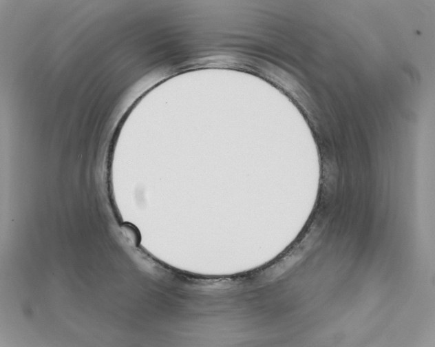 X0000111431426200908241112