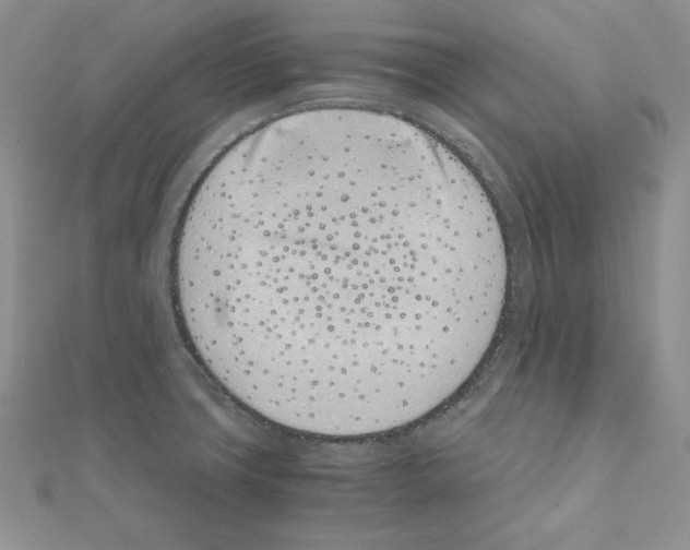 X0000111431427200908241112