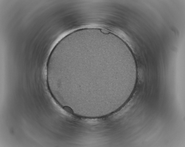 X0000111431428200908241112
