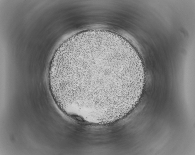 X0000111431429200908241112