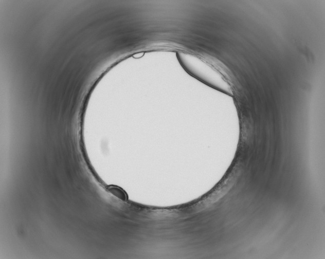 X0000111431430200908241112