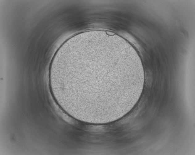 X0000111431431200908241112