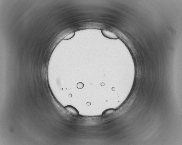 X0000111431433200908241112