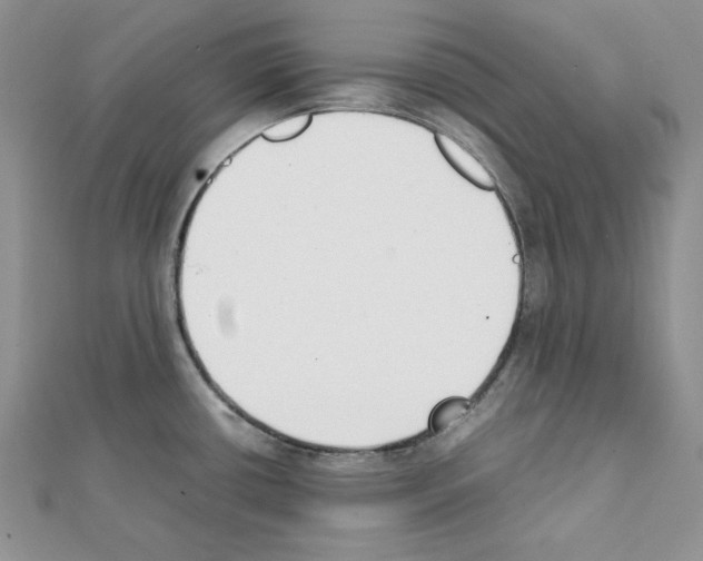 X0000111431434200908241112