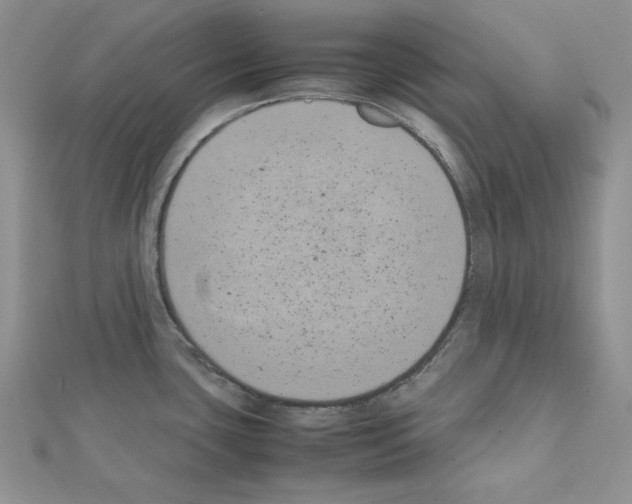 X0000111431435200908241112