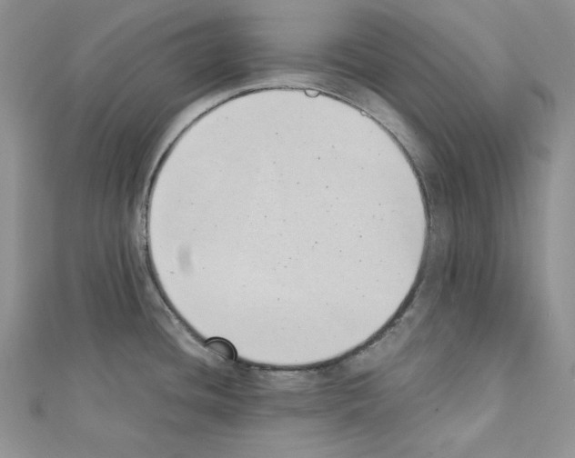 X0000111431436200908241112