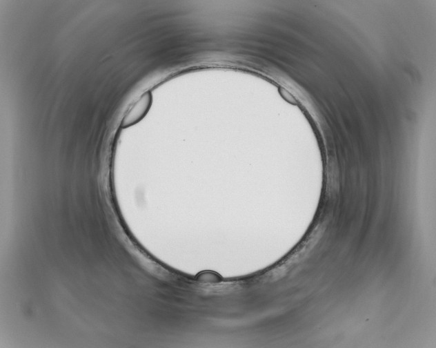 X0000111431437200908241112