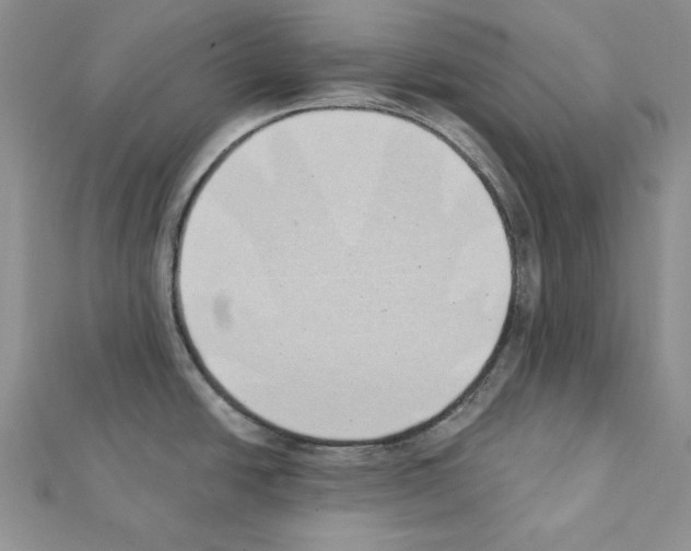 X0000111431438200908241112