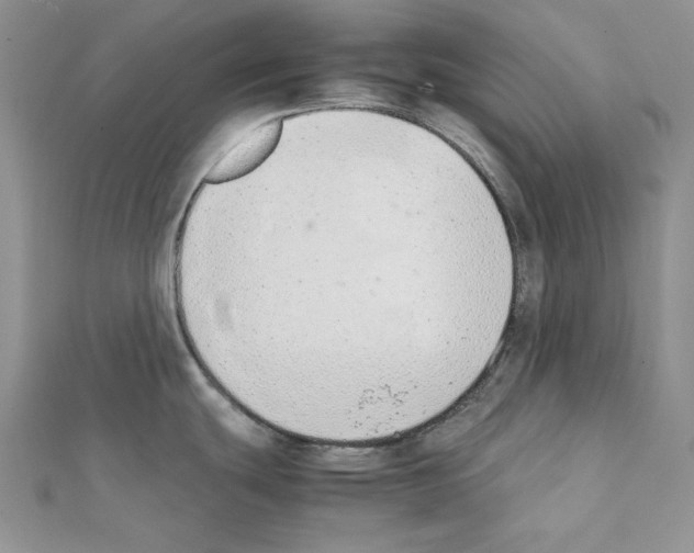 X0000111431439200908241112