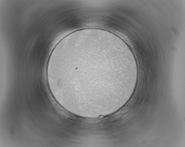 X0000111431440200908241112