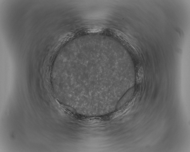 X0000111431441200908241111