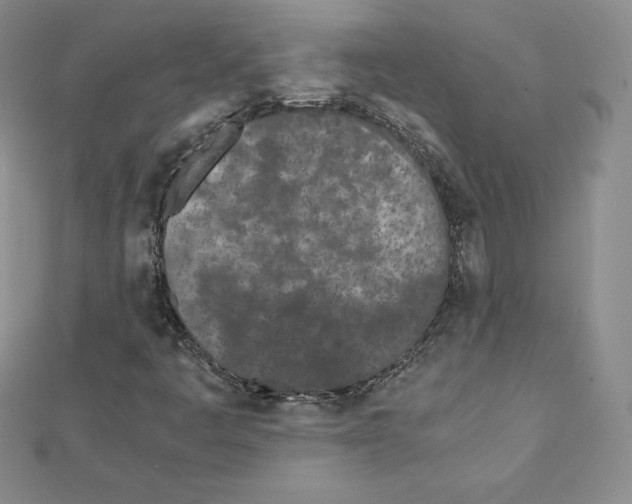 X0000111431445200908241111