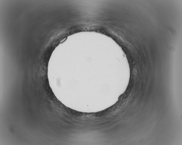 X0000111431447200908241111