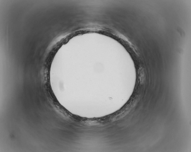 X0000111431448200908241111