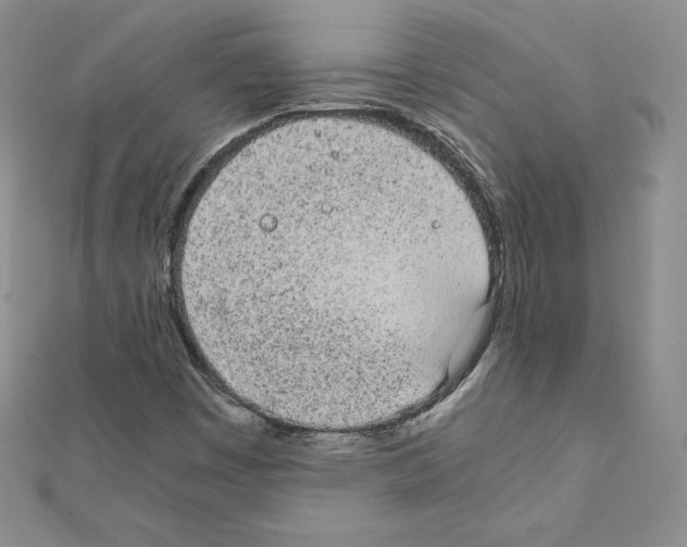 X0000111431449200908241111